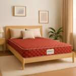 Sleepwave dream soft